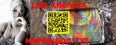 PSILOCYBIN Кинель