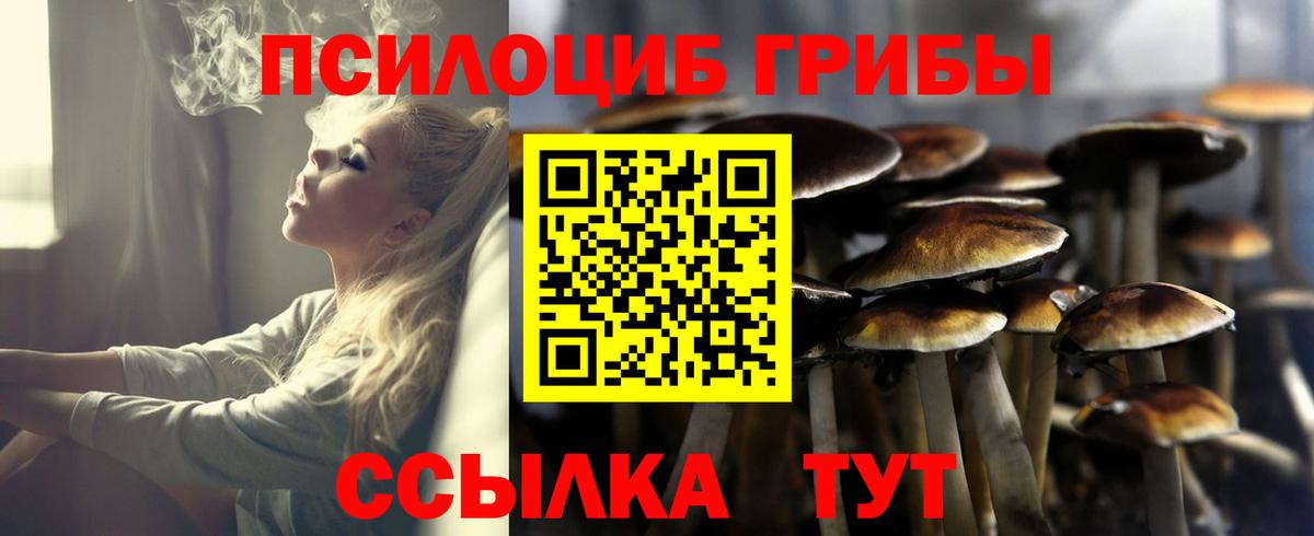 Галлюциногенные грибы Psilocybine cubensis Краснодар